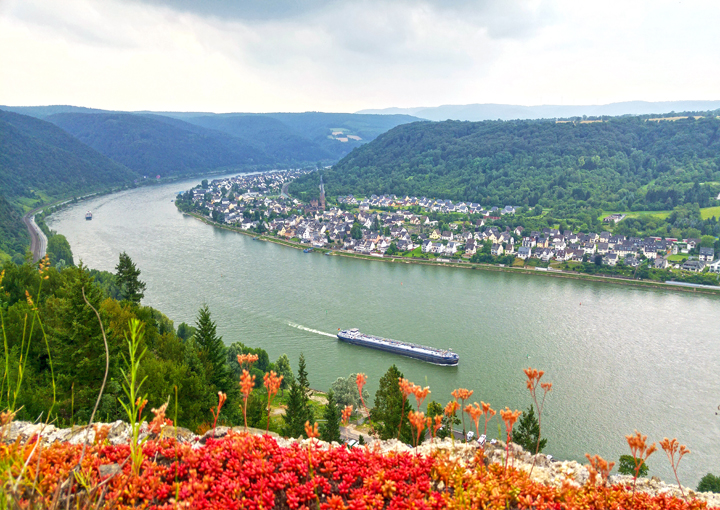 Ngày 05: Rhine Gorge - Rudesheim
